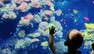 Oceanographic-Museum-Monaco-@marco.del